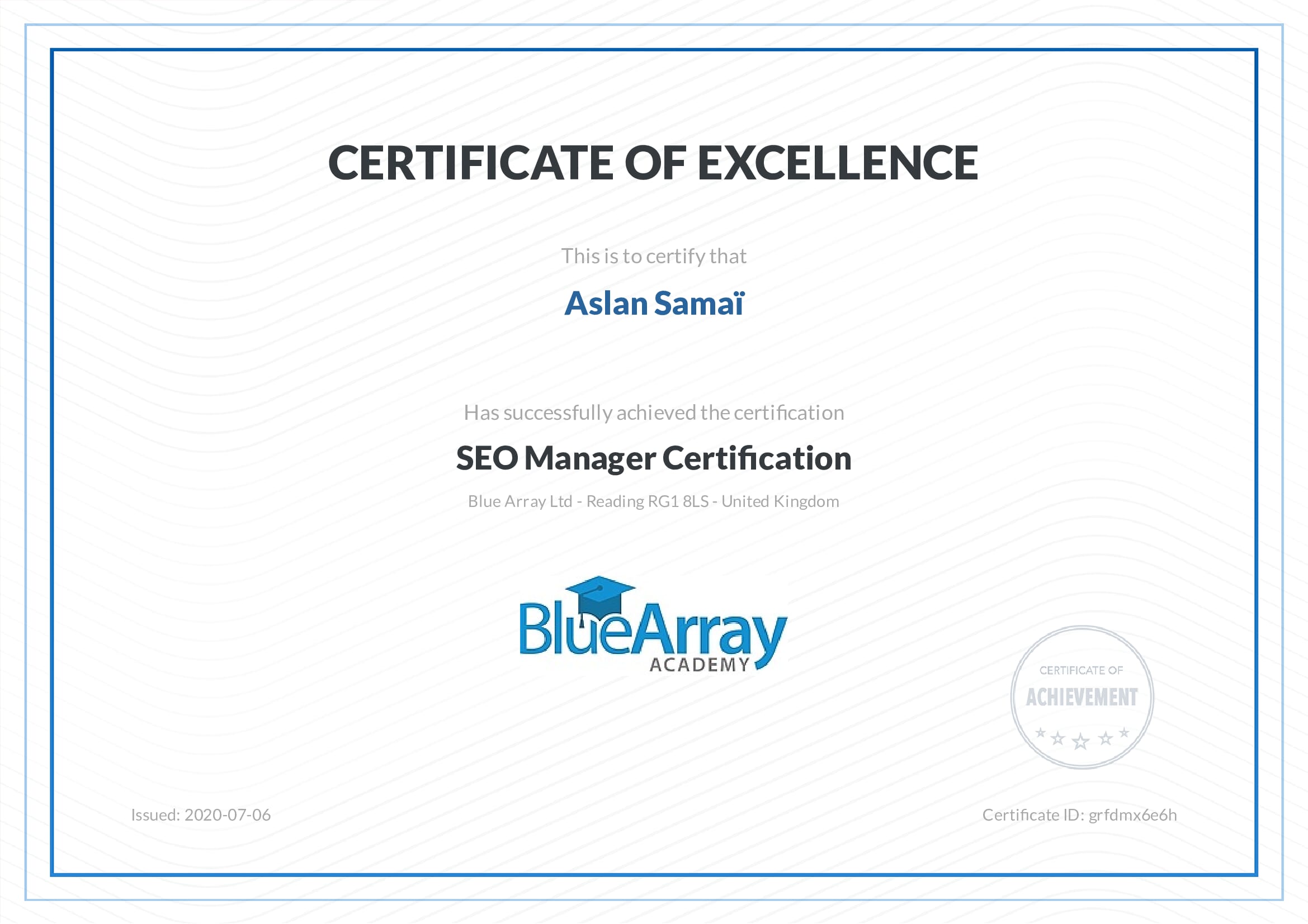 SEO Manager from Blue Array